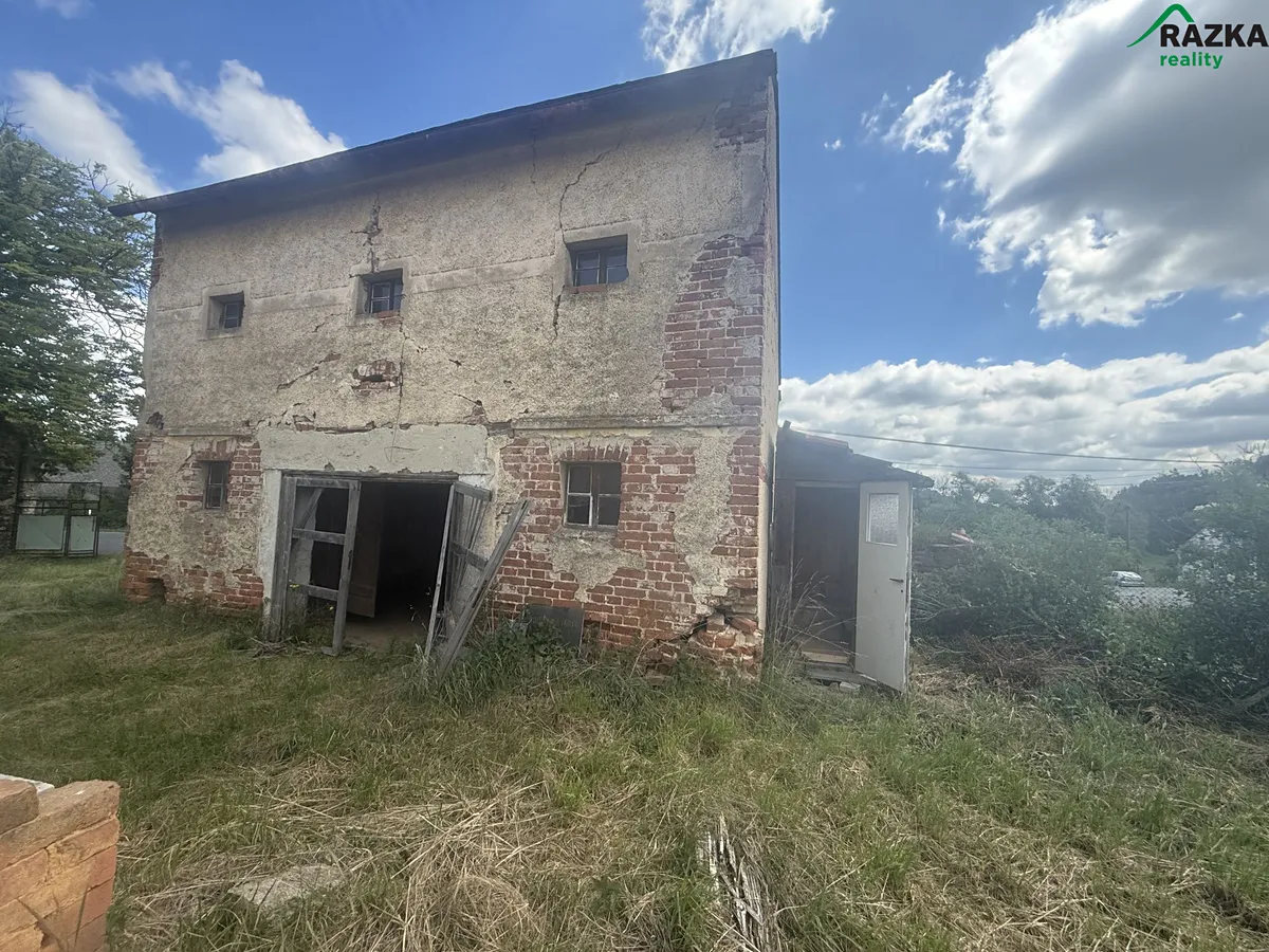 Fotka 11 z 16